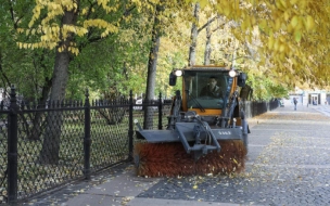 Петербуржцам предложили поучаствовать в онлайн-голосовании по качеству уборки районов