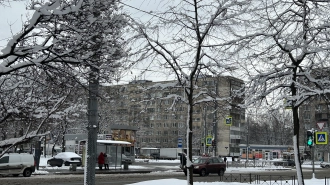 В Петербурге 16 декабря ожидается облачная и ветреная погода