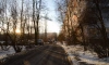 В Петербурге 20 марта воздух прогреется до +9 градусов