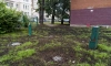 "ТЭК СПб" удалось убрать детскую площадку на севере Петербурга из охранной зоны