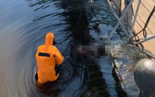 В реке Охте  обнаружили тело мужчины