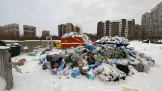 Петербуржцы могут пожаловаться на несвоевременный вывоз мусора через онлайн-систему 