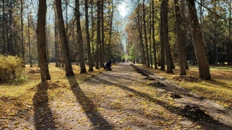В октябре солнце в Петербурге светило всего 63 часа