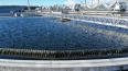 Уровень очистки сточных вод в Петербурге достиг 99,8% ...