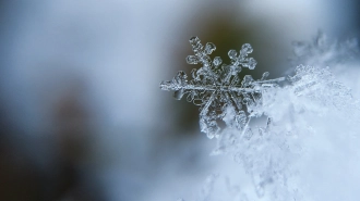 В Ленобласти 14 ноября местами пройдёт мокрый снег