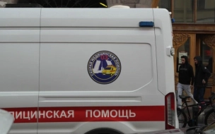 В ДТП на улице Савушкина пострадал школьник