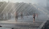 Санкт-Петербург обновил температурный максимум 2024 года
