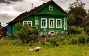 Петербуржцы стали чаще снимать загородные дачи