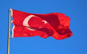 Президент Ближневосточного форума: Турцию необходимо исключить из НАТО