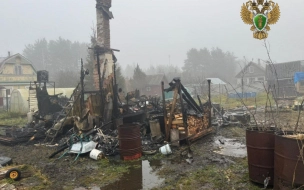 Женщина и двое детей погибли в пожаре под Петербургом