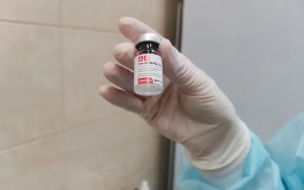 В Петербург поступила новая партия вакцины "Спутник V"