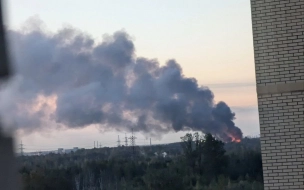 В Колпинском районе полыхал склад