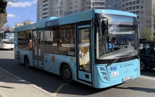Петербургские автобусы испытывают на экологичность