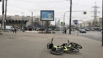 В Петербурге из-за порывистого ветра объявлен "желтый" уровень погодной опасности 7 апреля