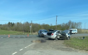 В ДТП под Гатчиной погибла женщина и пострадали три человека