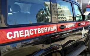 СК возбудил уголовное дело против полицейских, задержавших школьницу в Калининском районе