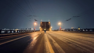 В Петербурге в ночь на 28 марта разведут пять мостов