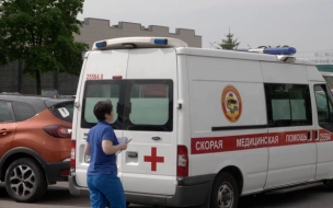 В Петербурге ветка упала на спину беременной женщины во время гендер-пати