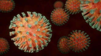 Названа новая категория людей с повышенным риском смерти от коронавируса 