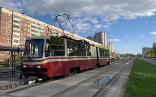 С начала года в общественном транспорте Петербурга выявили около 7% безбилетников