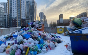 В Петербурге возбудили 107 административных дел из-за плохой уборки снега и мусора