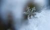 В Ленобласти 1 февраля ожидается 0 градусов