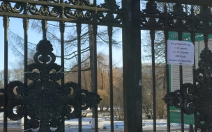 Петербуржцев попросили воздержаться от посещения скверов и садов в связи с просушкой