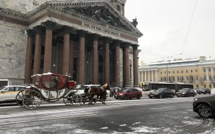 Температура воздуха в Петербурге 24 декабря превысит климатическую норму