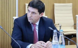 Омбудсмен Дагестана заинтересовался избиением школьницы в Петербурге
