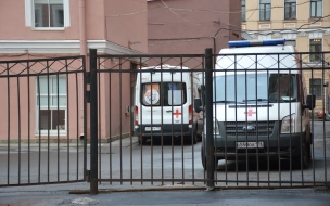 На Московском проспекте задавили пешехода