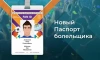 На получение Fan ID на матчи Евро в Петербурге было подано 140 тысяч заявок 