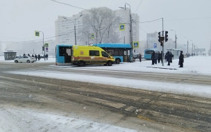 Лазурный автобус попал в ДТП в Колпинском районе