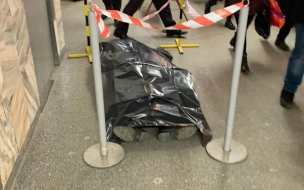 Пассажир скончался на станции метро "Улица Дыбенко"