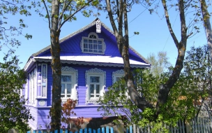 В Васкелово хозяйка дачного дома заявила на арендаторов в полицию за создание нарколаборатории