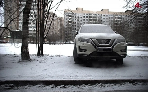В Петербурге за неделю любителей парковаться на газонах оштрафовали на 4,3 млн рублей