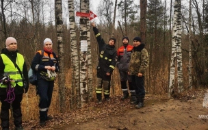 В Ржевском лесопарке разместили стрелки-указатели