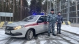 Полицейские задержали петербуржца, который похитил ...