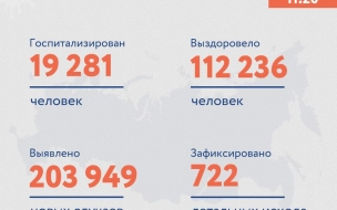 В России выявили 203 949 случаев заражения коронавирусом за сутки
