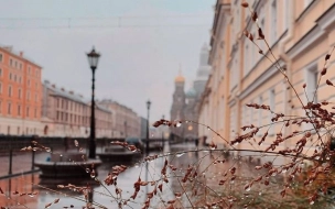 Теплый фронт с запада испортит погоду в Петербурге 20 октября