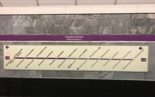 Пассажир упал на пути на фиолетовой ветке петербургского метро