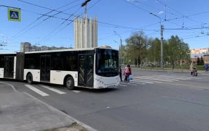 Автобус протащил мужчину по земле на проспекте Ветеранов
