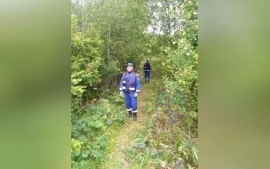 Спасатели эвакуировали из леса двух заблудившихся женщин в Лодейнопольском районе