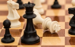 Турниры по ростовым шахматам пройдут в Петербурге 20 июля