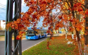 Петербург принимает участие в московской Транспортной неделе