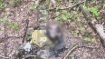 Житель Сертолово нашёл в лесу тлеющий пакет с головой
