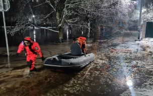 В Тосно врачи не смогли добраться до пациента из-за высокого уровня воды