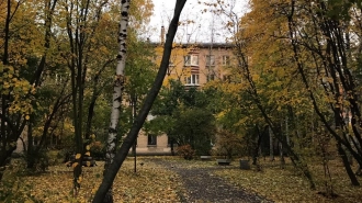 Температура в Петербурге 3 ноября будет близка к климатической норме