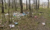 В Ржевском лесопарке обнаружили много неубранного мусора после майских праздников