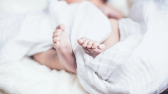 Рекордное количество детей родилось в Ленобласти в августе 2023 года