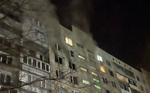 Во время ночного пожара на Загребском бульваре пострадали два человека